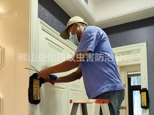 高明住宅白蚁防治工程