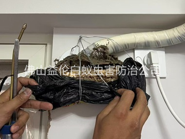 三水外环境消杀四害工程
