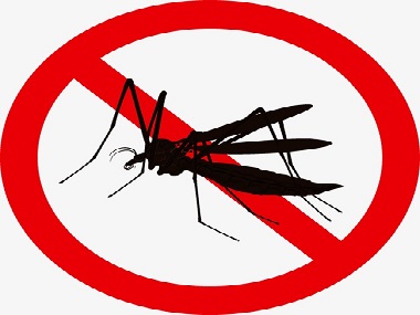 南海四害消杀公司分享4个灭蚊蝇驱蚊蝇的实用小妙招
