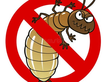 高明白蚁防治站白蚁危害主要有哪些方面，喷什么有效果